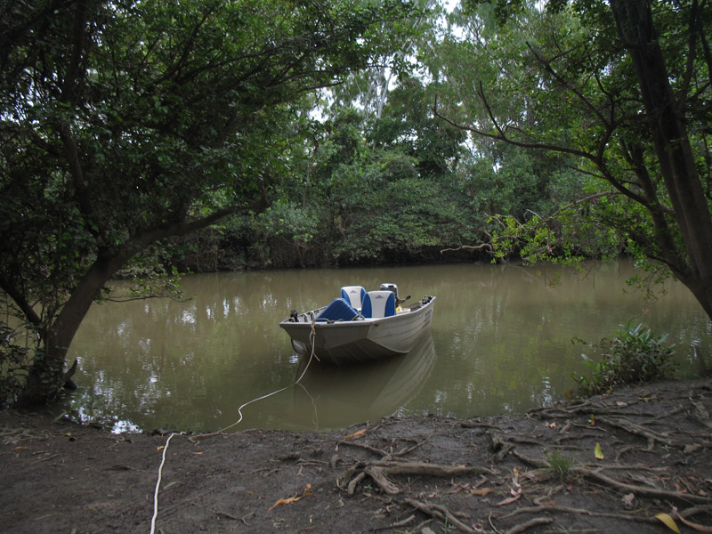 Lakefield National Park - Walkabout